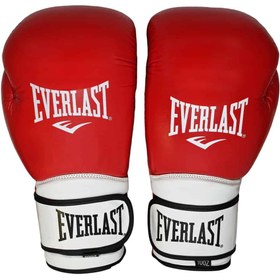 تصویر دستکش بوکس چرم مدل EVERLAST 