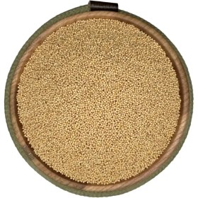 تصویر خردل زرد دان 