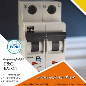 تصویر کلید مینیاتوری دو پل (دوفاز ) F&G DC 