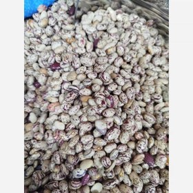 تصویر لوبیا چیتی خوش پخت محلی 