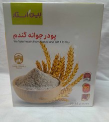 تصویر پودر جوانه گندم بیز چاقی صورت (25ساشه) غلات صبحانه بیز _ 350 پک 25 عددی