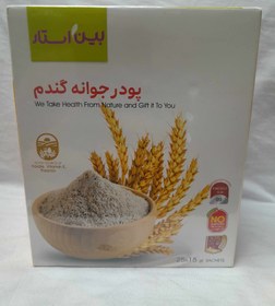 تصویر پودر جوانه گندم بیز چاقی صورت (25ساشه) غلات صبحانه بیز _ 350 پک 25 عددی