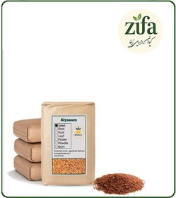 تصویر بذر قدومه خشک فله 