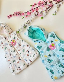 تصویر پافر بچگانه 