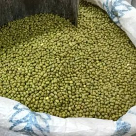 تصویر ماش محلی 