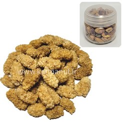 تصویر مینی پک - توت خشک 