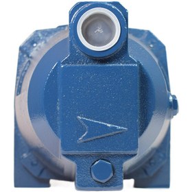 تصویر پمپ آب اسکواردی مدل IAM100-P 