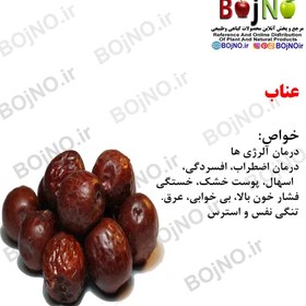 تصویر عناب 100گرمی 