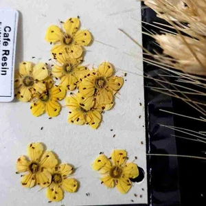 تصویر فروشگاه کافه رزین