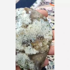 تصویر فروشگاه علی دور