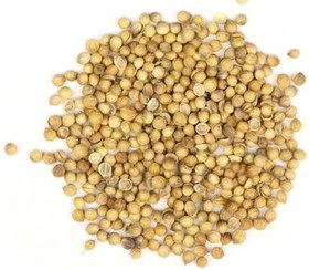 تصویر تخم گشنیز 