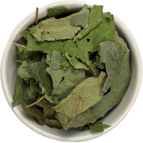 تصویر برگ به 