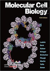 تصویر کتاب مولکولار سل بیولوژی Molecular Cell Biology Ninth Edition 2021 