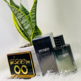 تصویر ادوپرفیوم مردانه Savagio حجم 100 Bailando Savagio Eau De Parfum For Men 100ml