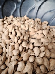 تصویر بادام سنگی نیم کیلویی 