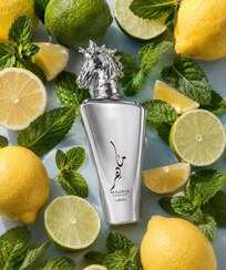 تصویر عطر ادوپرفیوم لطافه مدل ماهر لگسی رایحه شیرین و خنک 