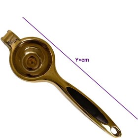 تصویر آبلیموگیری ویکتوریا رزگلد 