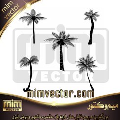 تصویر وکتور درخت نخل 5 عددی 1 