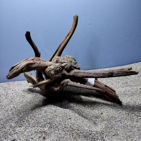 تصویر ریشه آبنوس کد 1020 ارسال این ریشه رایگان می باشد