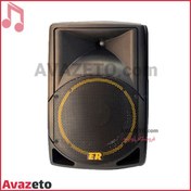 تصویر اسپیکر پرتابل روژان مدل RJ1400 با میکروفن بیسیم 