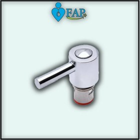 تصویر مغزی شیر کوچک نیمه اهرمی 