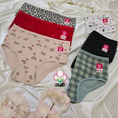 تصویر عمده فروشی پک شورت 6 طرحی نخ پنبه 