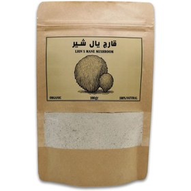 تصویر پودر قارچ یال شیر ۱۰۰ گرم 