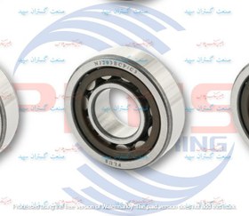 تصویر رولبرینگ کوچک دنده زیر گیربکس پیکان و RD شماره NJ203 ECPC3 برند پلاس ball bearing NJ203 ECPC3 PLUS