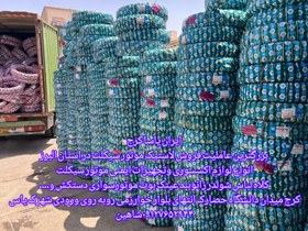 تصویر محافظت کمک اکربیس - نارنجی 