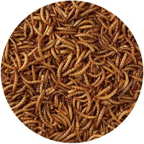 تصویر غذای پرندگان شهرپت مدل میل ورم 520 وزن 100 گرم 