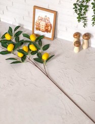 تصویر شاخه لیمو 