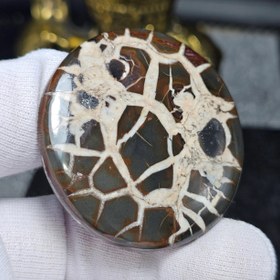 تصویر نگین کلکسیونی سنگ طبیعی سپتارین معدنی مراکش کد 34524 