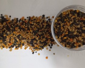 تصویر گرده گل خشخاش 