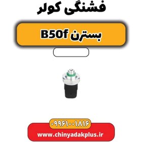 تصویر فشنگی کولر بسترن B50F 