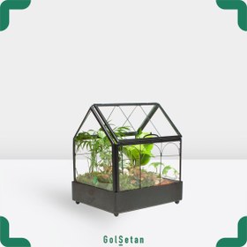 تصویر تراریوم گلخانه 