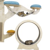 تصویر درخت گربه پینترستی 