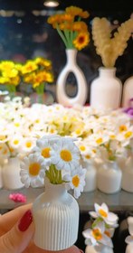 تصویر گلدان کوچک گل بابونه 