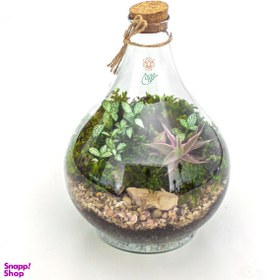 تصویر تراریوم پوپک ایر 