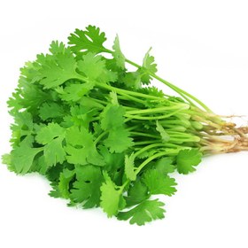 تصویر بذر گشنیز Coriander