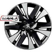 تصویر رینگ چرخ پژو ۲۰۰۸ 