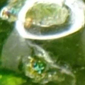 تصویر جواهر دمانتوئید D121 