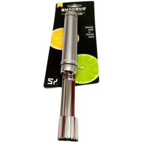 تصویر هسته گیر شنگیا کد 6972 