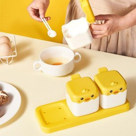 تصویر جا ادویه جوجه 