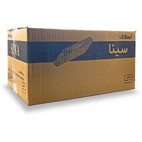 تصویر آبسلانگ سینا 