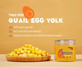 تصویر فریز دراید زرده تخم مرغ بلدرچین آریا سیت آمریکا Arya sit egg yolk freeze dried