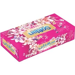 تصویر دستمال کاغذی 100 برگ دو لایه سافتلن مدل باغ بهشت 