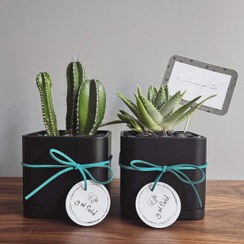 تصویر دیش گاردن کاکی 