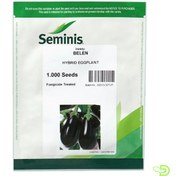 تصویر بذر بادمجان بلن 