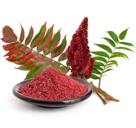 تصویر سماق قرمز خالص برند Karoël Spice Pure red sumac Karoël Spice