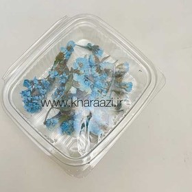 تصویر گل خشک ژیپسوفیلا 